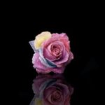 Energiewende im Eigenheim