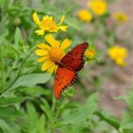 Versorgungslücken im Gesundheitswesen