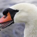 NTS erweitert Standorte